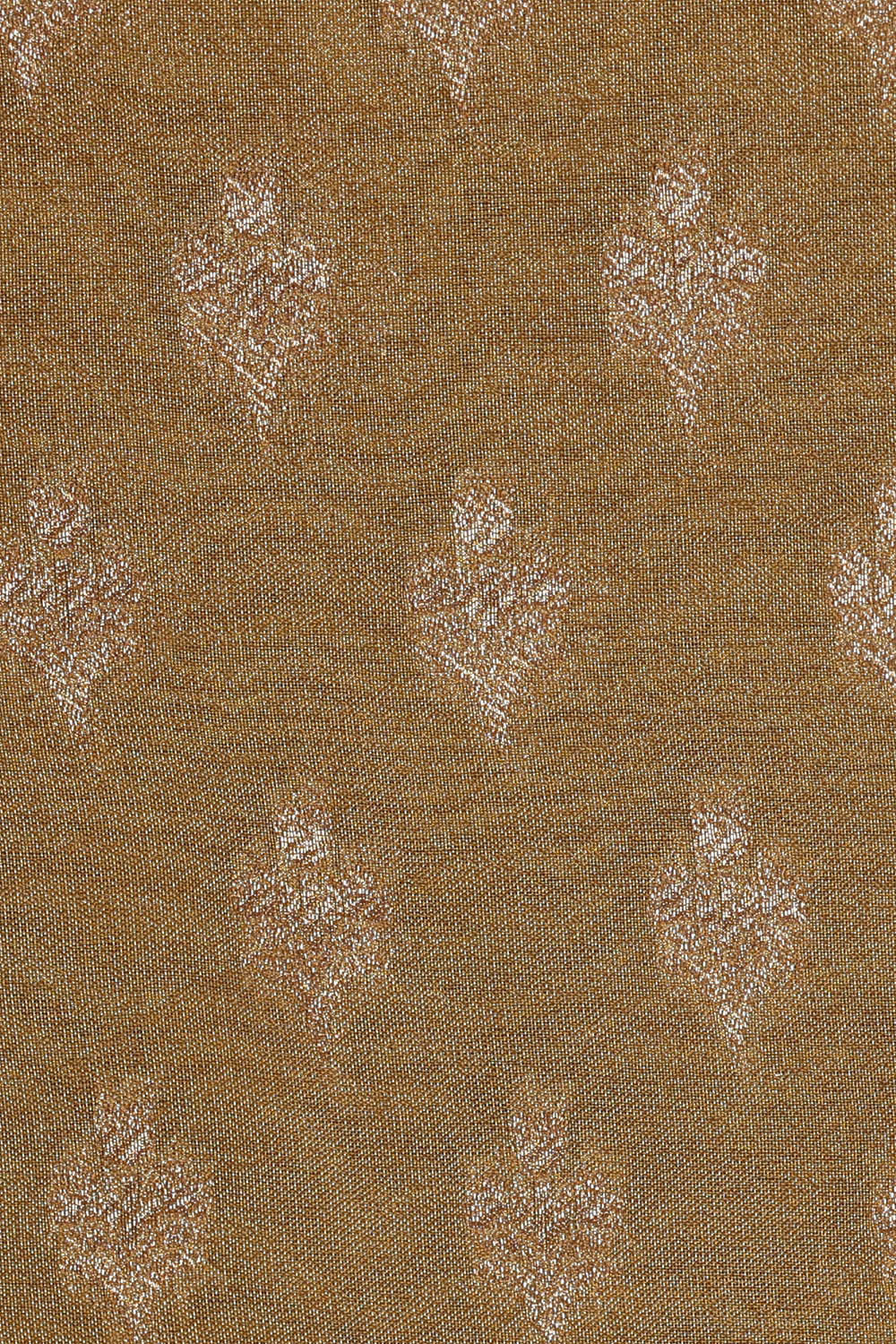 Image of Banarasi Tissue Organza Gold Saree